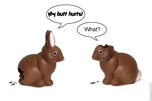 happy easter bunny funny. Happy, Happy Easter!