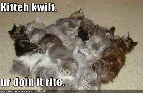 LOL cats, cats, humor
