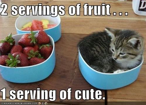 fruit &