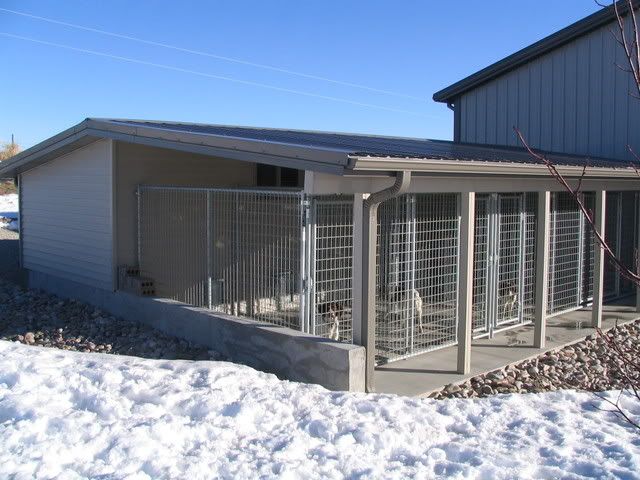 Where can you find outdoor dog kennel designs?