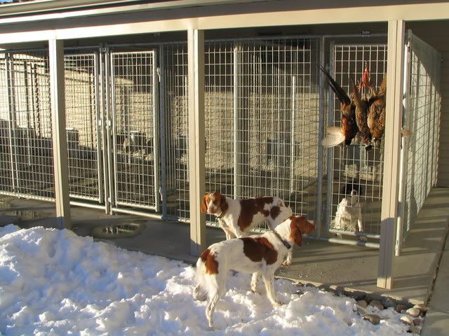 Kennel Idea's - Gun Dog Forum