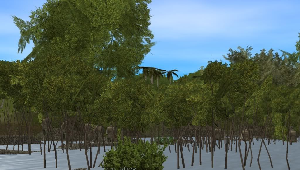 Mangroves.jpg