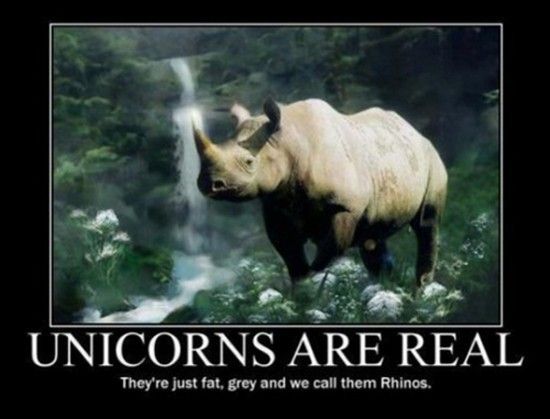 funny-photos-unicorns-real.jpg