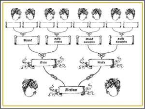 Tomasz Steifer's family tree diagram