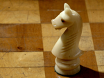 Mbdortmund's chess knight photo