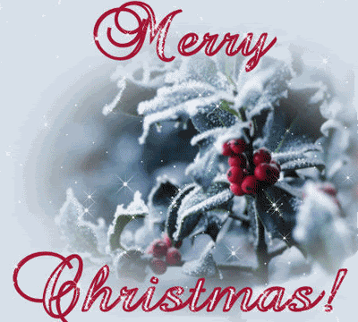 merry christmas Pictures, Images and Photos