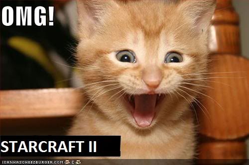 funny-pictures-kitten-is-excited-ab.jpg picture by Zandeus