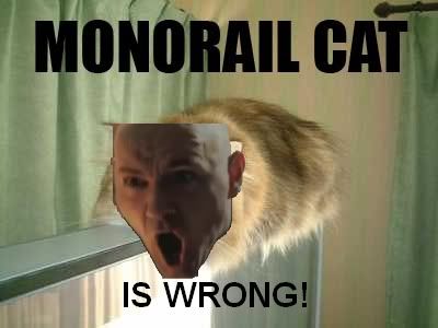 monorail cat gif. MONORAIL CAT IS WRONG!