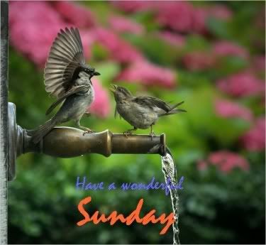Wonderful Sunday Pictures, Images and Photos