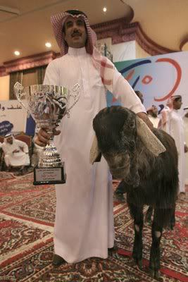 Damascene-goat-beauty-contest.jpg