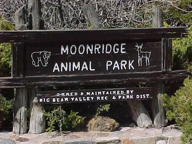 big bear moonridge