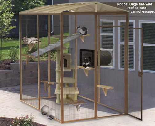 Cat Cage Design