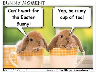 easter pet bunny