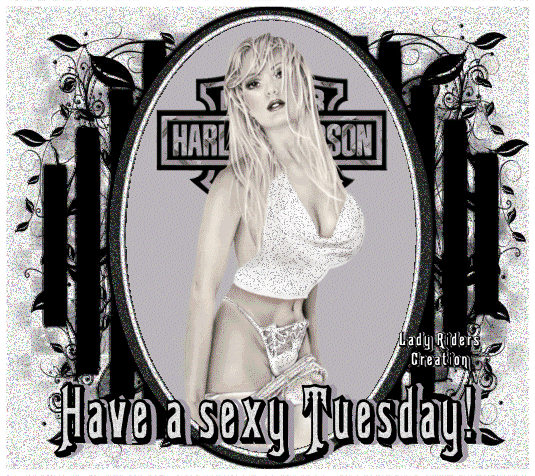 Sexy Tuesday