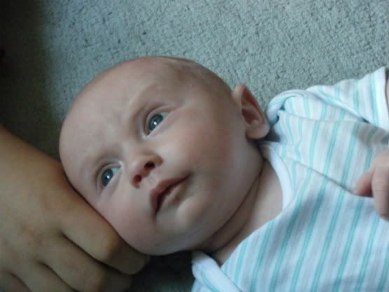 2009_0718Henry8weeks0028.jpg