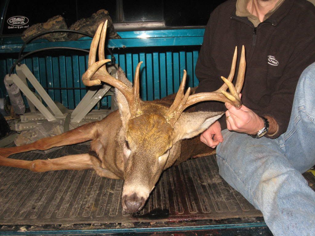 Picture087.jpg?t=1227118727