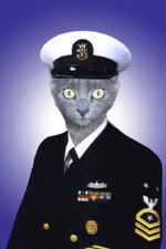 [Image: cat-uniform-2.jpg]