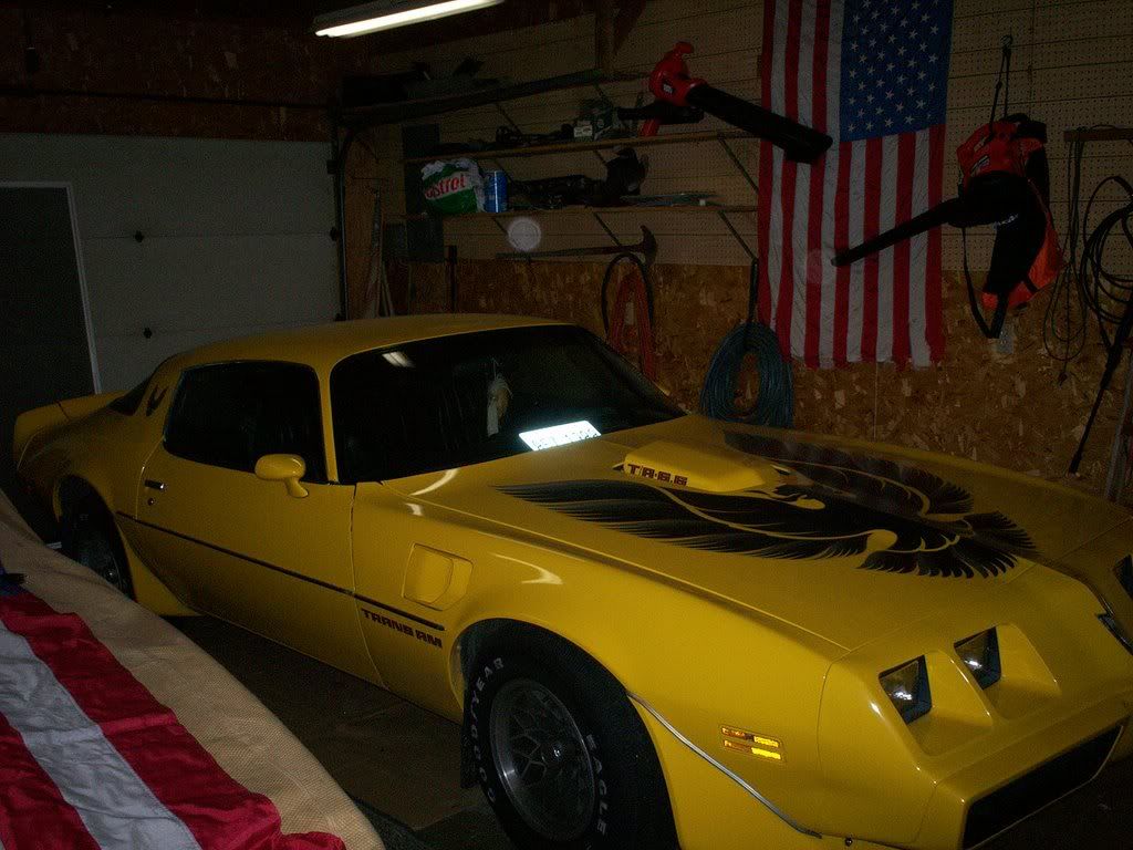 79 Firebird Trans Am Yellow