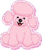 Pink Poodle Webkinz