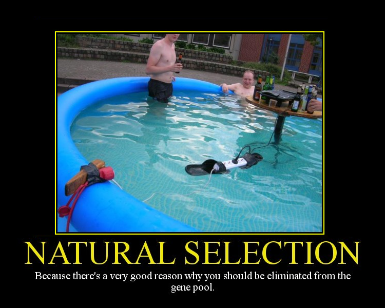natural_selection_anonib.png