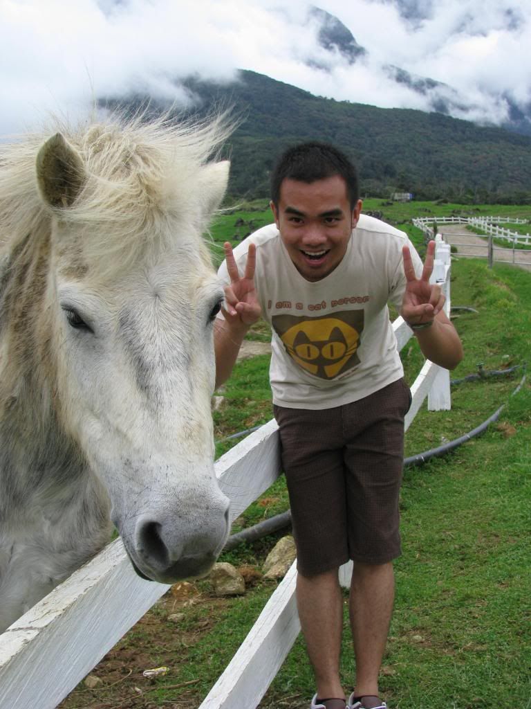 peace to the horsie
