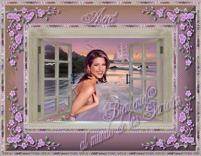 YotambinsoygaviotaTAGBienvenidAsere.jpg picture by Aseretpracticas