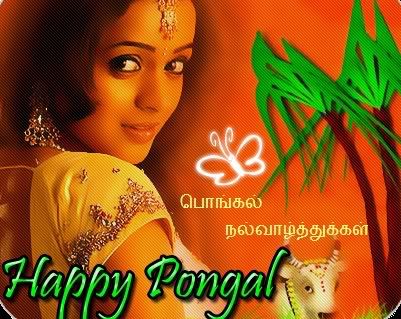 Happy Pongal Hot Glitter Graphics Icons n Comments @ orkut-scrapbook.com