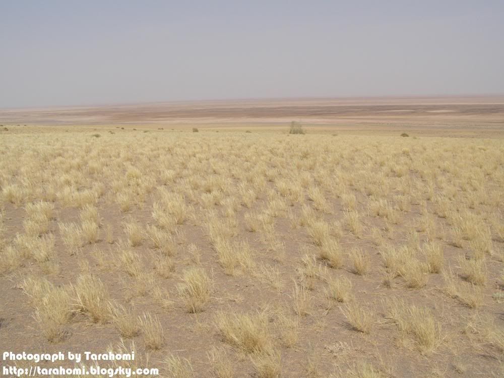 P9090084.jpg Maranjab Desert picture by tarahomi