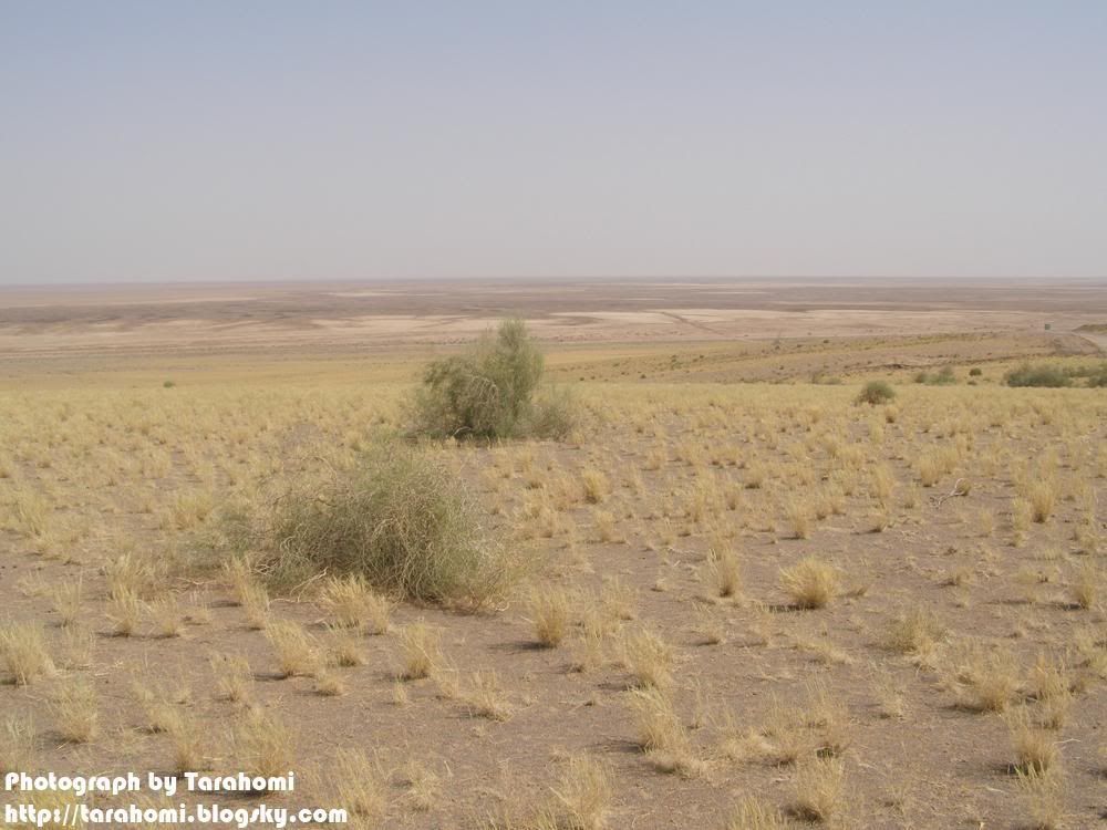 P9090085.jpg Maranjab Desert picture by tarahomi
