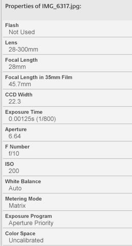 IMAGE: http://i261.photobucket.com/albums/ii62/avz10/2012-01-07222906.jpg