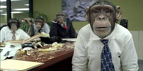 monkey_office.jpg