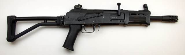 saiga12.jpg