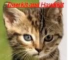 Tigerkit & Hawkkit Avatar