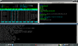 terminator_eee.png image by gnu-linux