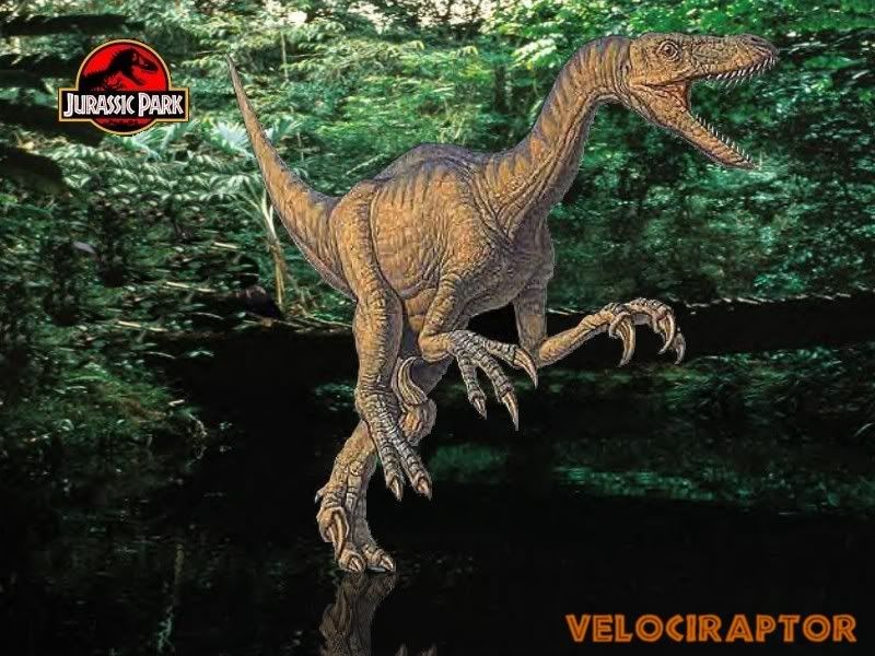 velociraptor turkey