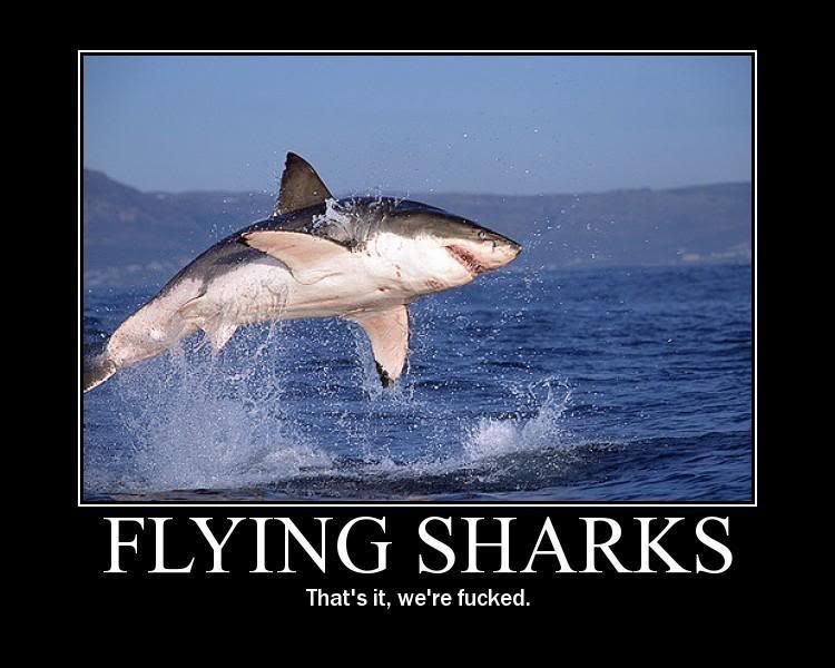 flying sharks Pictures, Images and Photos