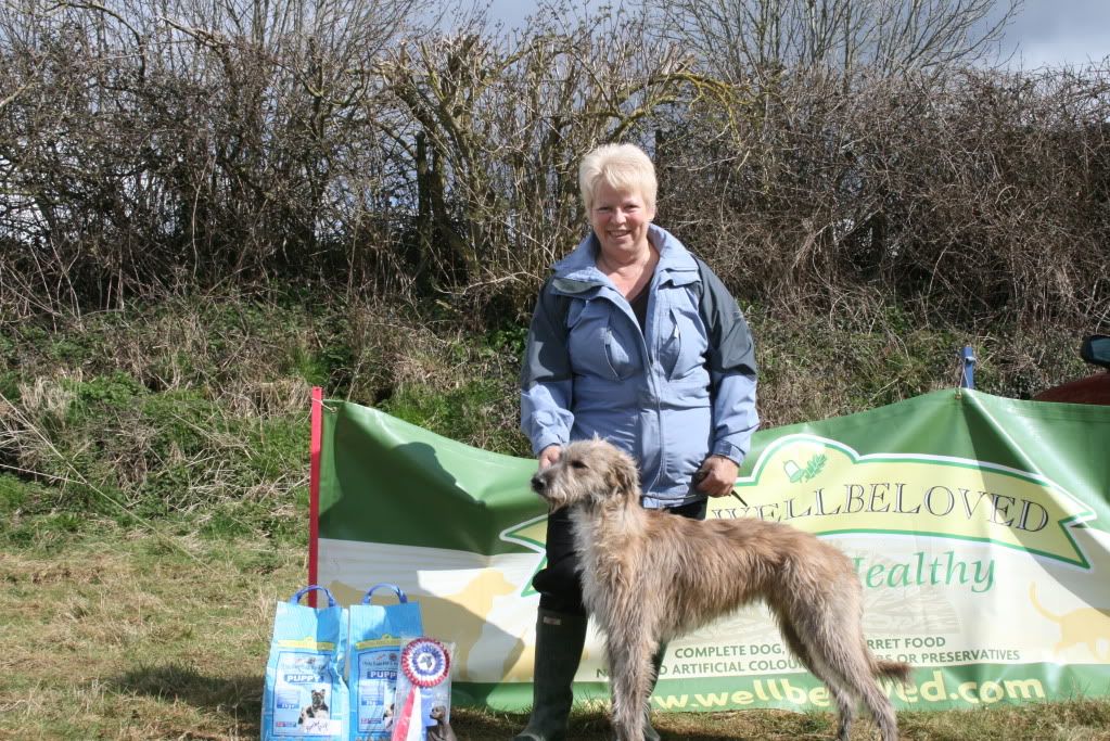 CrewkerneLurcherTerrierShow2010066.jpg