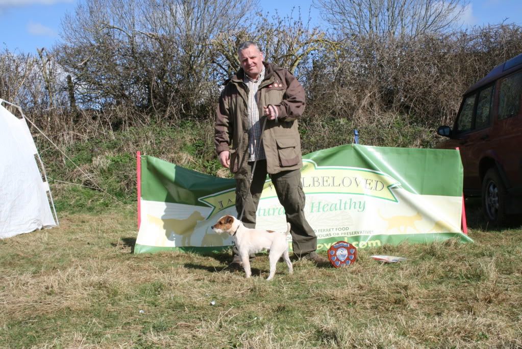 CrewkerneLurcherTerrierShow2010078.jpg