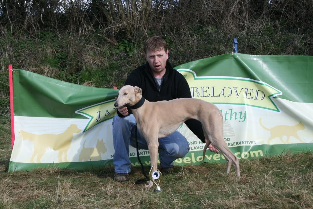 CrewkerneLurcherTerrierShow2010089.jpg