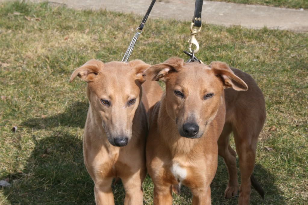 BathWestShow2010107.jpg