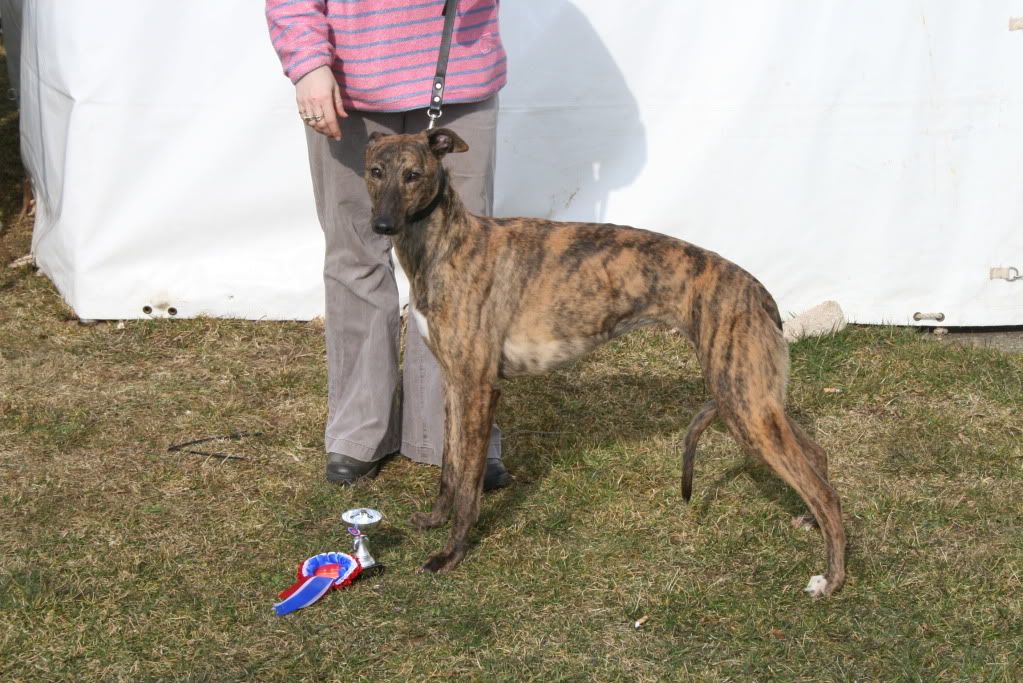 BathWestShow2010109.jpg