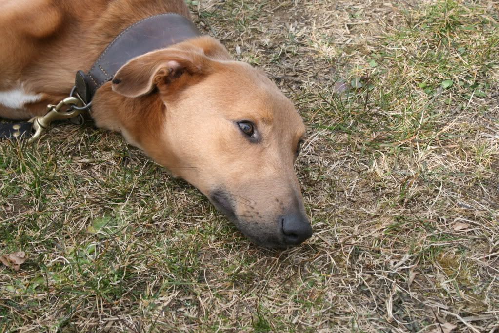 BathWestShow2010119.jpg