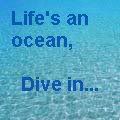 ocean dive in Pictures, Images and Photos