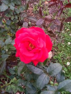 Photobucket Pictures, Images and Photos