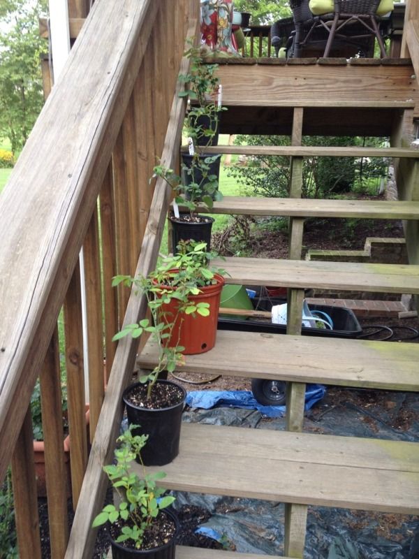 Photobucket Pictures, Images and Photos