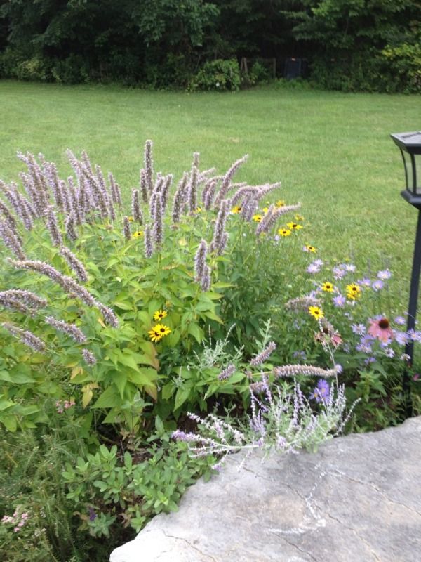 Photobucket Pictures, Images and Photos