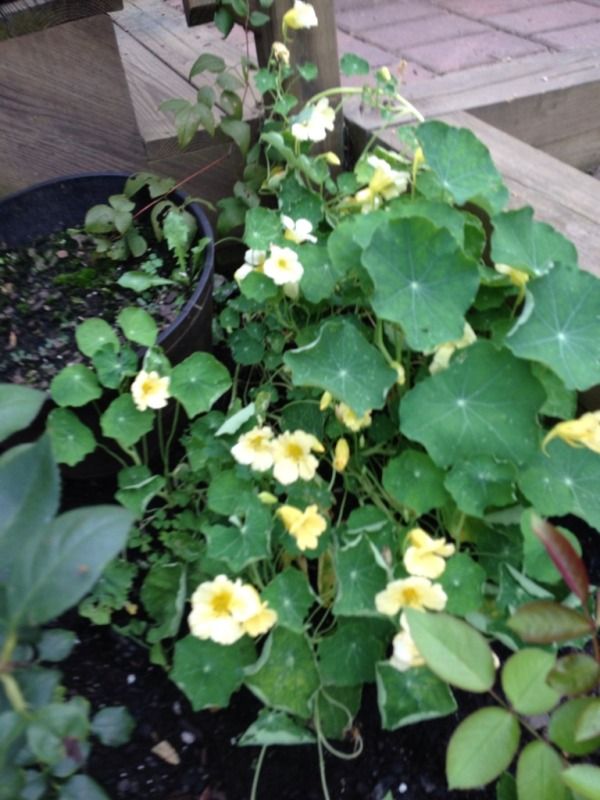 Photobucket Pictures, Images and Photos