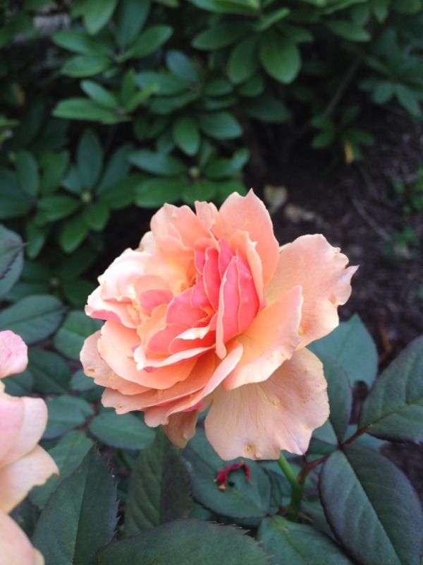 Photobucket Pictures, Images and Photos