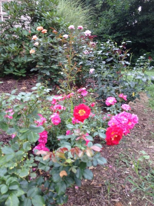 Photobucket Pictures, Images and Photos