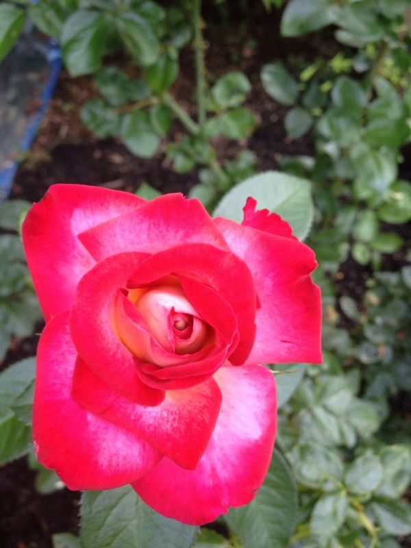 Photobucket Pictures, Images and Photos